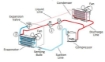 Immagine di Criosauna Elettrica - Cryostar (Whole Body)