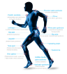 Immagine di Focus Shockwave – Terapia a onde d'urto