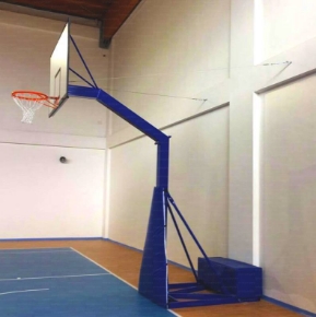 Immagine per la categoria VOLEI SI BASCHET